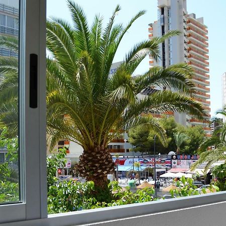 Margarita Apartment Μπένιντορμ Εξωτερικό φωτογραφία